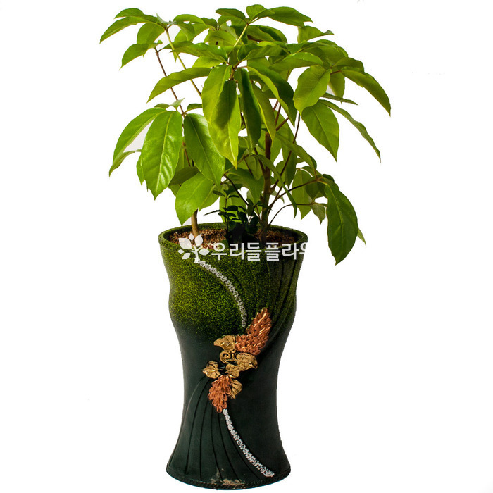상세이미지