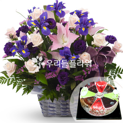 보라빛향기