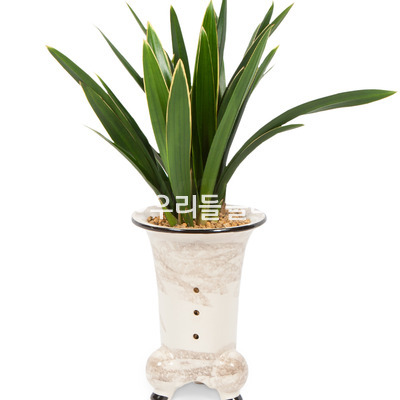 고급분대훈 365e