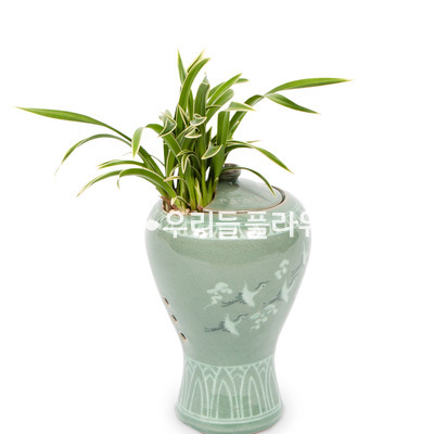청자분대국 356e