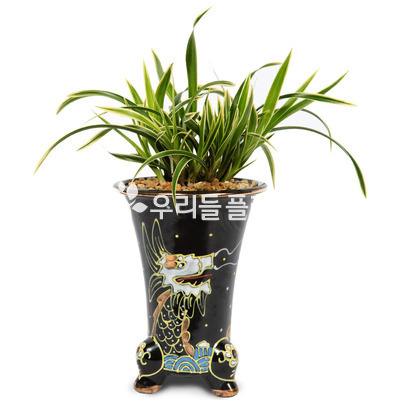 대국e5030
