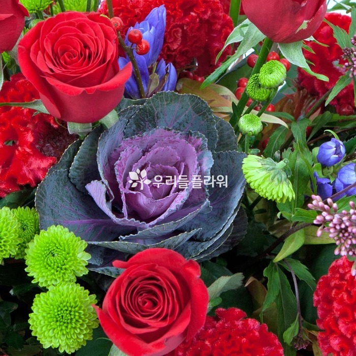 상세이미지