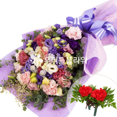 다이아스프레이/코사지