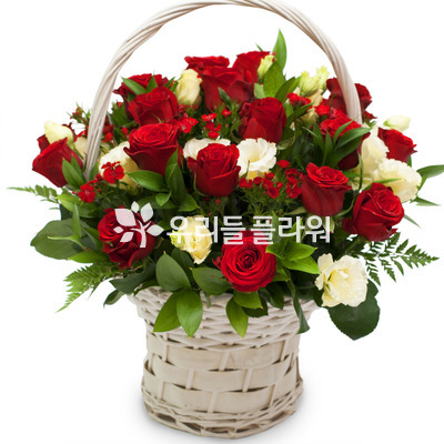 사랑의 파수꾼♥최고인기상품