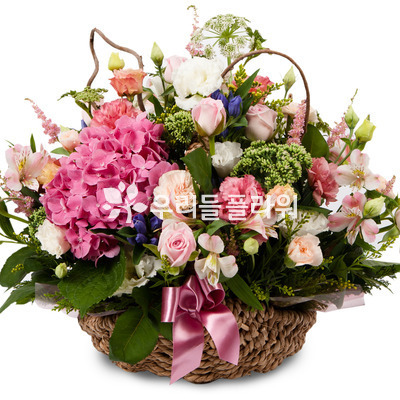 기쁜나날들