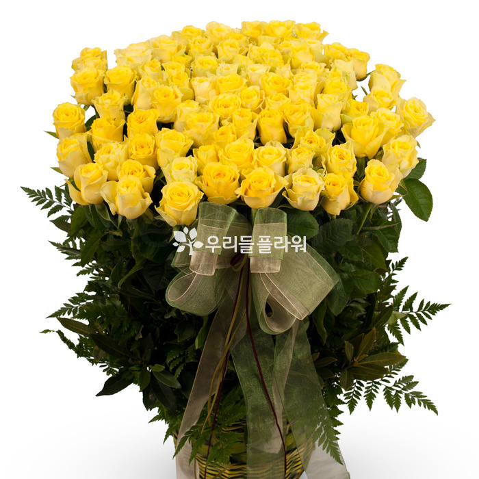상세이미지