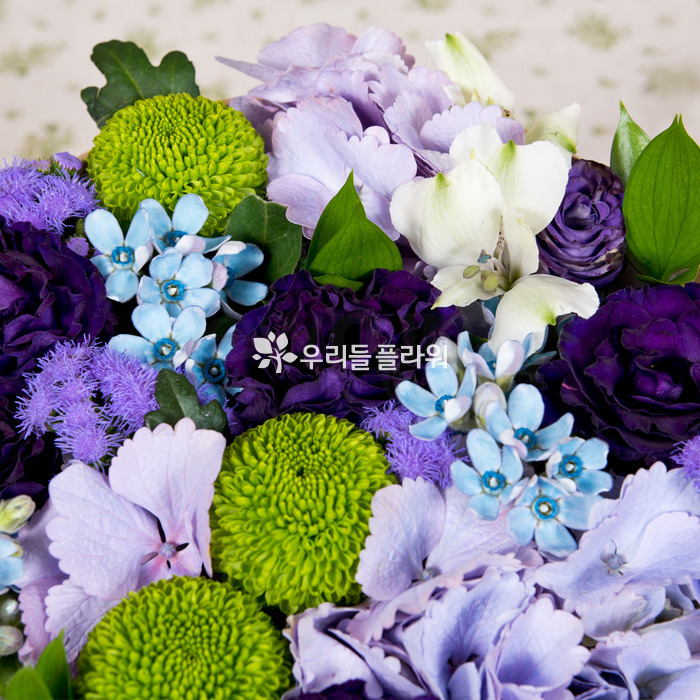 상세이미지