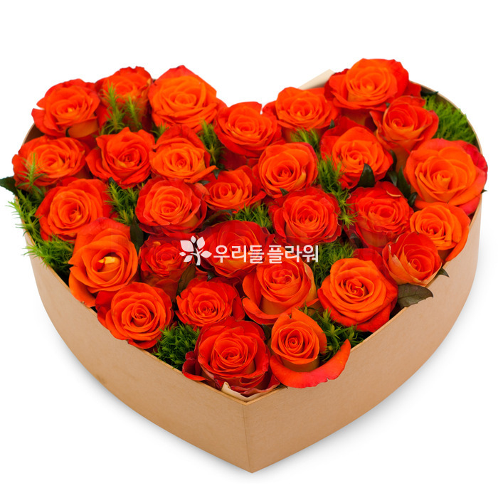 상세이미지