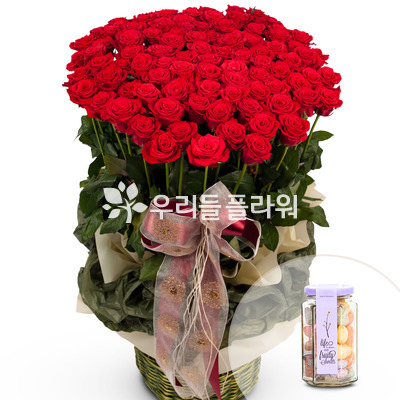 러브앤러브