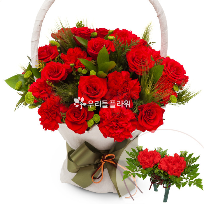 상세이미지