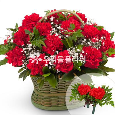 카네이션바구니+코사지2개(꽃행복209호)
