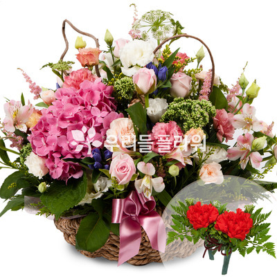 카네이션바구니(코사지무료)