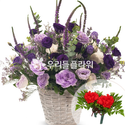 보라리시안바구니