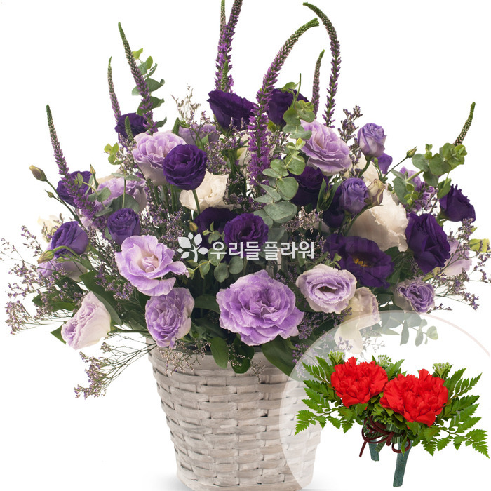 상세이미지
