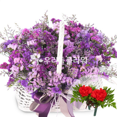 스타치스 (코사지무료)