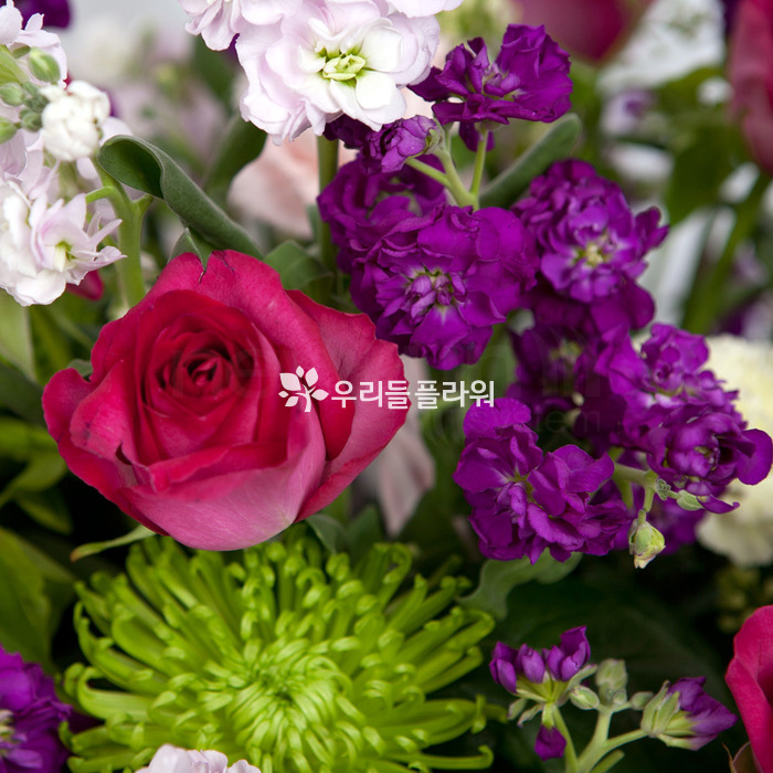 상세이미지