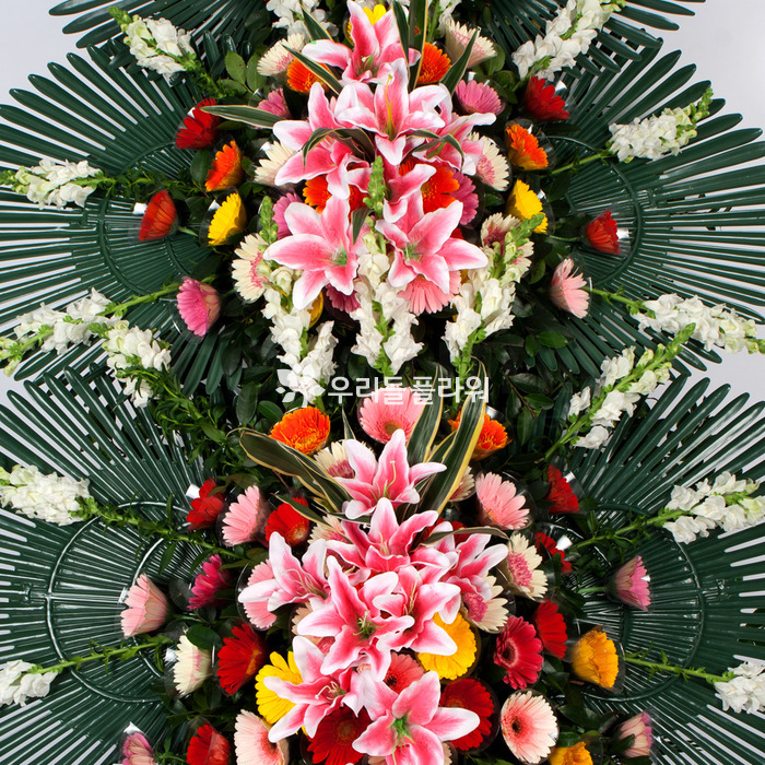 상세이미지