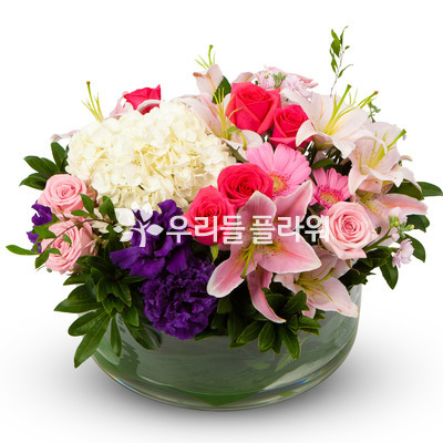 뷰티풀 라이프~