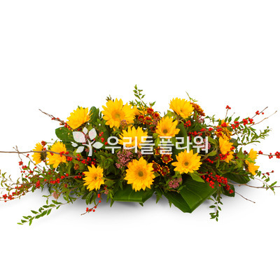 사방화1010